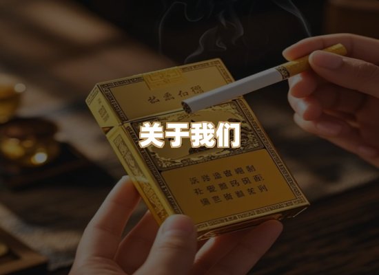 关于云歌烟网